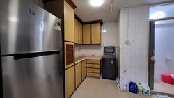 Blk 254 Bangkit Road (Bukit Panjang), HDB Executive #481011781
